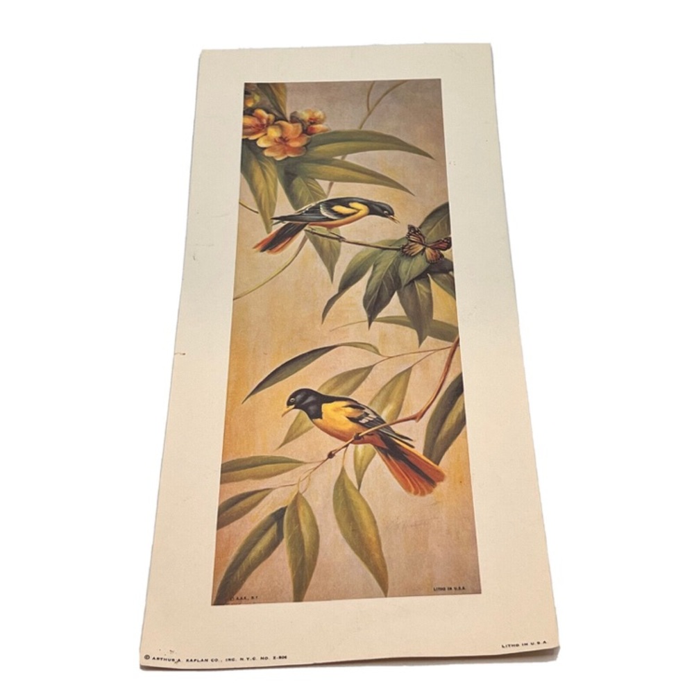 Vtg RF Harnett Yellow Oriole Birds Lithograph Art Print Kaplan USA 6x14" Aviary